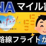 【ANA】24時間限定マイル割引キャンペーンでマイル改悪を緩和せよ！！【2024年11月フライト】【国内マイル旅行】