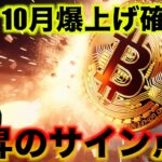 ビットコインの期待がMAXに！10月から上昇のサイン。