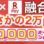 嘘だろ…PayPayと楽天ペイが融合⁉︎今後どうなる…