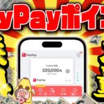 【ポイ活】PayPayポイント25万円以上がGETできるヤバいキャンペーンが開催中！ペイペイ大量に増やすならコレ！【9月19日～11月19日まで】