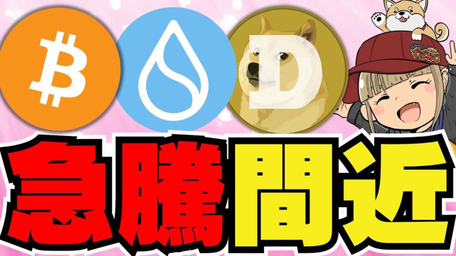 【💀SUI危険?】利下げ決定!ビットコイン今後上昇か?/10月に期待が集まる/ミームコインも今後爆億!ドージコインは強気フェーズ突入!柴犬はクジラが活発化/SUI上昇中だが注意点も。。