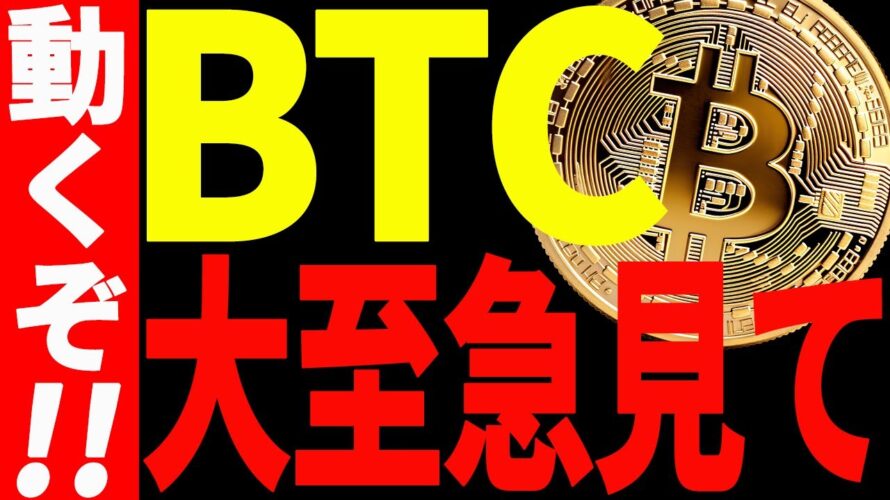 ⚠️大至急見て⚠️ビットコイン動くぞ!暴落に警戒⁉︎今後の最新戦略を共有!【仮想通貨】