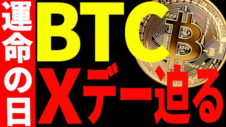 ⚠️見逃し厳禁⚠️ビットコインは今後暴落⁉︎爆上げ⁉︎注目すべきポイントは〇〇!【仮想通貨】