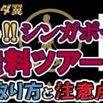 【お得に観光！？】無料のシンガポール観光ツアーに参加しました！