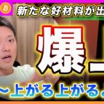 【気が付いた？】ビットコイン・日本の総裁選よりも重要な材料！ショーターは涙目、、君らは漏れなく養分になると思うよ？その理由を解説します！【最新の仮想通貨分析を公開】