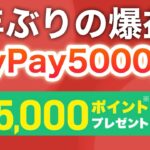 100円かからずにPayPay5000p貰える隠れキャンペーン‼︎