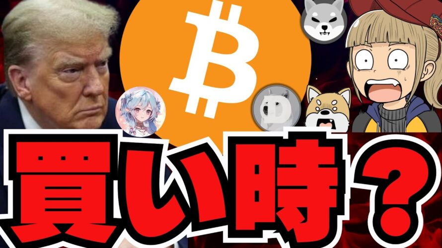 【🔥ビットコイン10万ドルへ】今買った方が良いの?結論、コツコツ積立投資/ミームコインヨコヨコ。AI山羊トークンが下落。。/AIトークンの新時代到来!革命きた!!