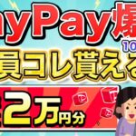 【10月やばい】PayPayポイントが20,000円分もらえるキャンペーンがお得すぎる…他にもお得なキャンペーンを一挙に5つ解説！