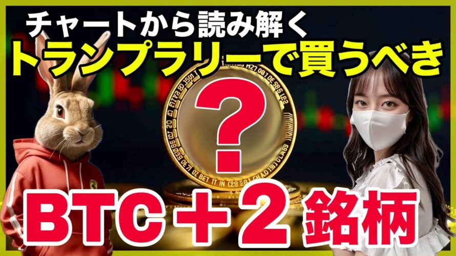 ビットコイン11月は上昇する。今買うべき2銘柄と戦略共有