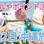 【ポイント・マイル活用！】沖縄大人2人旅✈️