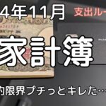 【家計簿2024/11】節約やめる～と大騒ぎ😱／投資 iDeCo NISA／支出ルーティン／キャッシュレス／ポイ活【東京・23区 生まれ住み・離婚・一人暮し・50代】