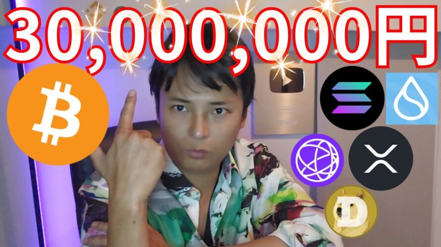 ビットコイン2025年3,000万円らしい。【仮想通貨 暗号資産 暗号通貨 BTC イーサリアム リップル ソラナ ドージコイン スイ】