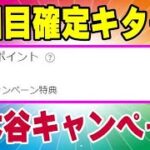 楽天モバイル 28日のお楽しみ♪ 獲得予定ポイントに追加されてますよ！ 三木谷キャンペーン