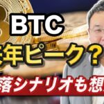 【切り抜き】ビットコインは最大3500万円の可能性も｜ピーク後は大暴落に備える必要あり