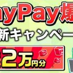 【5分で終わる】PayPayポイントが20,000円分もらえるキャンペーンがお得すぎる…他にもお得なキャンペーンを一挙に5つ解説！