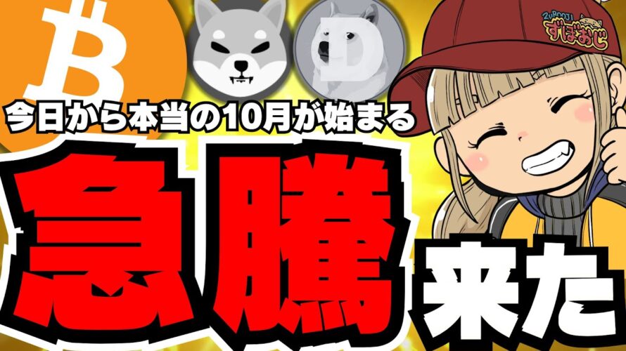 【🔥急騰ビットコイン】6.6万ドル!このままバブル到来?/上昇の理由に中国とハリス?いったい何が?/ミームコインも急騰!ドージ柴犬が乱舞!/MEWとWorldcoinに注目!
