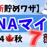 【ANAマイル】貯め方・最新2024秋