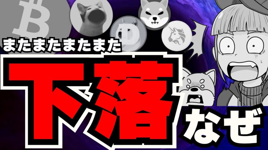 【💀ビットコイン下落】理由は何?今後上がるの?/急上昇コインは〇〇/ミームコインも苦しい。でもPOPCATだけ上がってる!ドージコイン・柴犬本気出してー!!