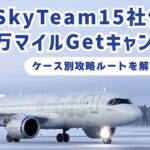 SAS SkyTeam修行の100万マイルキャンペーンのケース別攻略ルートを考える