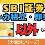 【大解剖シリーズ】SBI証券クレカ積立・即売り 三井住友カードゴールド（NL)以外もあり！？