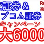 【楽天証券＆auカブコム証券】NISAキャンペーン　最大6000ポイント