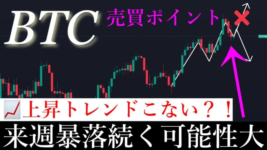 11/2⚠️「11月いきなり暴落。このまま暴落かそれともバブルか解説します」ビットコイン分析