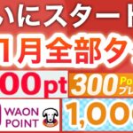 11月コレだけやっておけば後悔しない‼︎【PayPayポイント】