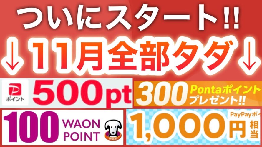 11月コレだけやっておけば後悔しない‼︎【PayPayポイント】
