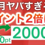 【まさか】11月PayPayも大量‼︎さらにアレが2倍に…‼︎