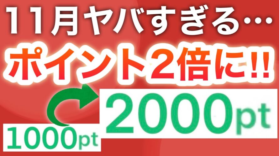 【まさか】11月PayPayも大量‼︎さらにアレが2倍に…‼︎