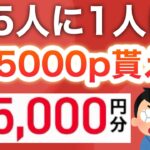 【衝撃】1人2回まで‼︎超高確率でPayPay5000p貰える…