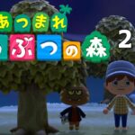 のんびりあつ森 2日目【あつまれ どうぶつの森】