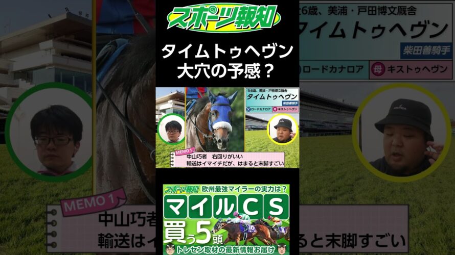 【マイルチャンピオンシップ2024の穴馬候補】タイムトゥヘヴンは買うべき?