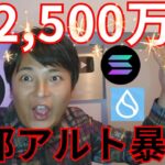 ビットコイン来年2,500万円が天井、一部アルトコイン暴騰の理由【仮想通貨 暗号資産 暗号通貨 BTC SOL ETH XRP ADA DOGE PEPE SHIB SEI INJ SUI 他】