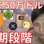 ビットコイン50万ドル(7,700万円)まで初期段階、ミームコイン強い【仮想通貨 暗号資産 暗号通貨 BTC ETH XRP SOL DOGE PEPE BILLY 他】