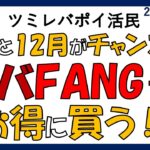 #61 お得に投資信託を買う！【レバFANG+、クレカツミレバ、楽天キャッシュ、ポンタプレミアムプラス】