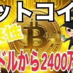 【完全版】ビットコインの仕組み・買い方・将来性を初心者向けに解説！ビットコイン最終価格70万ドルから2400万ドル！？