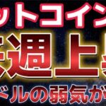 ビットコイン8万ドル突破！！来週更なる爆上げが期待！？