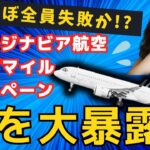 【99%が失敗する!?】スカンジナビア航空 100万マイル キャンペーン の罠 SAS SkyTeam スカイチームルート
