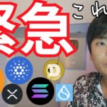 【緊急】土日も ビットコイン アルトコイン バブルが止まらない【仮想通貨 暗号資産 暗号通貨 ADA BTC ETH BNB XRP SOL DOGE SUI他】