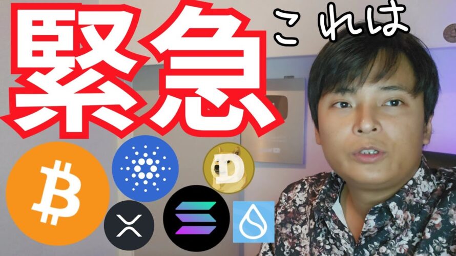 【緊急】土日も ビットコイン アルトコイン バブルが止まらない【仮想通貨 暗号資産 暗号通貨 ADA BTC ETH BNB XRP SOL DOGE SUI他】