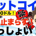 わっしょい！祭りだ！ビットコイン（BTC）連日ATH更新！81500ドル！〜上昇止まらす！狂ってます！