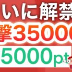 【削除覚悟】PayPayにも交換できる3.5万p受け取れる