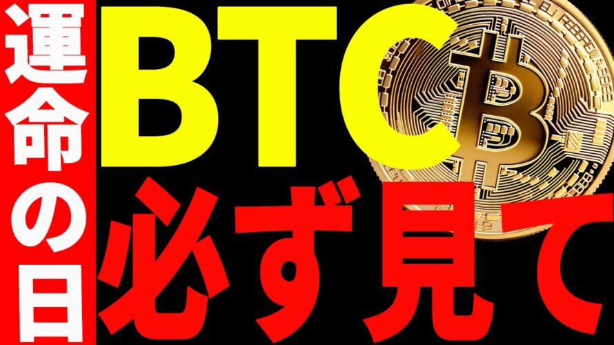 ⚠️必ず見て⚠️ビットコイン運命の日!今後の値動きは〇〇に注目して!【仮想通貨】