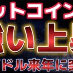 ビットコイン上昇が強すぎる！！来年中に１８万ドルを突破する！？