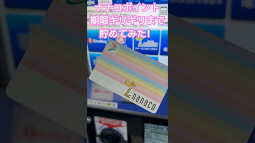 期限ギリギリまで貯めたら何ポイント貯まる?🤔ナナコポイント#セブンイレブン #ナナコポイント#ポイントカード