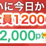 【1分】アンケートで大量ゲット‼︎もはや給付金レベルの大配布も…‼︎