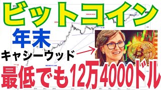 【ビットコイン価格目標】年末12万4000ドル越えか!?BTC10万ドルは100万ドルに向け「初期段階」