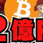 【🔥億り人】ビットコイン2.3億円！上昇フェーズをつかめ／XRPにイーロンマスクが言及／メタプラネットに黄色信号説？今後どうするべき？／来年はAIエージェントバブル！