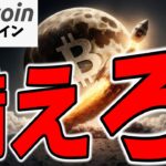 【仮想通貨 ビットコイン】結局2024年が最後の押し目？2025年は25万ドルへTo The Moon！？（朝活配信1671日目 毎日相場をチェックするだけで勝率アップ）【暗号資産 Crypto】